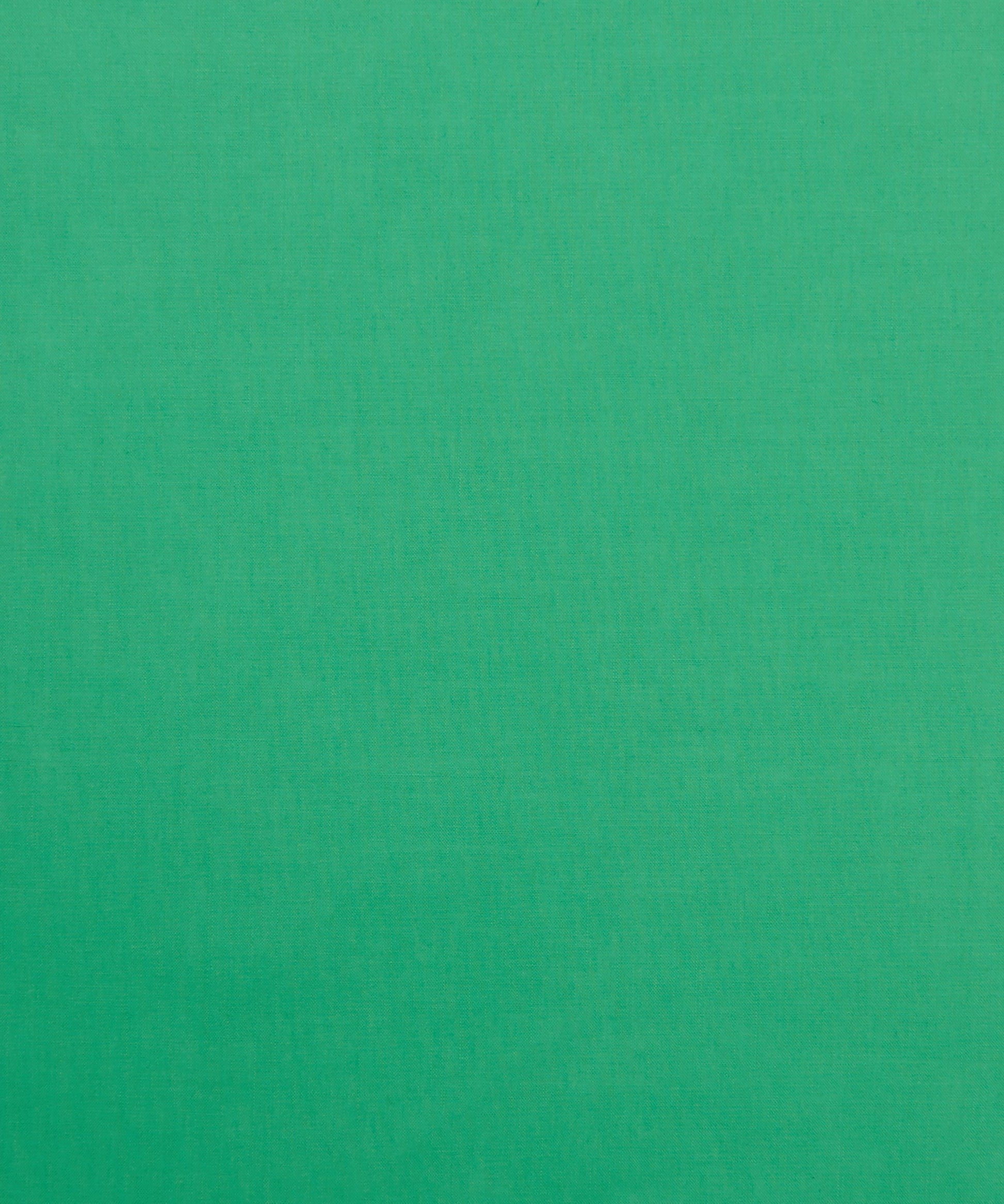 Fern Plain Tana Lawn™ Cotton Fabric - Green - Liberty