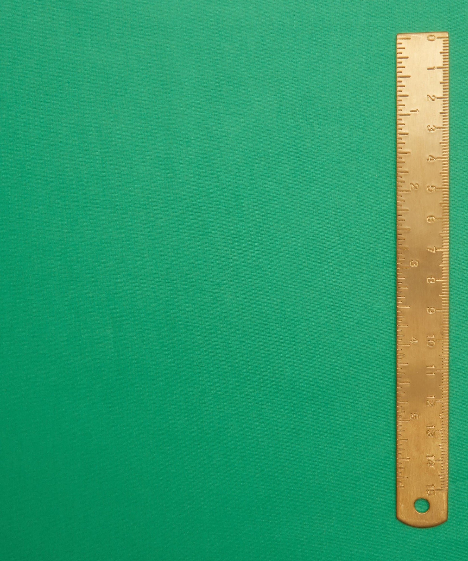 Fern Plain Tana Lawn™ Cotton Fabric - Green - Liberty