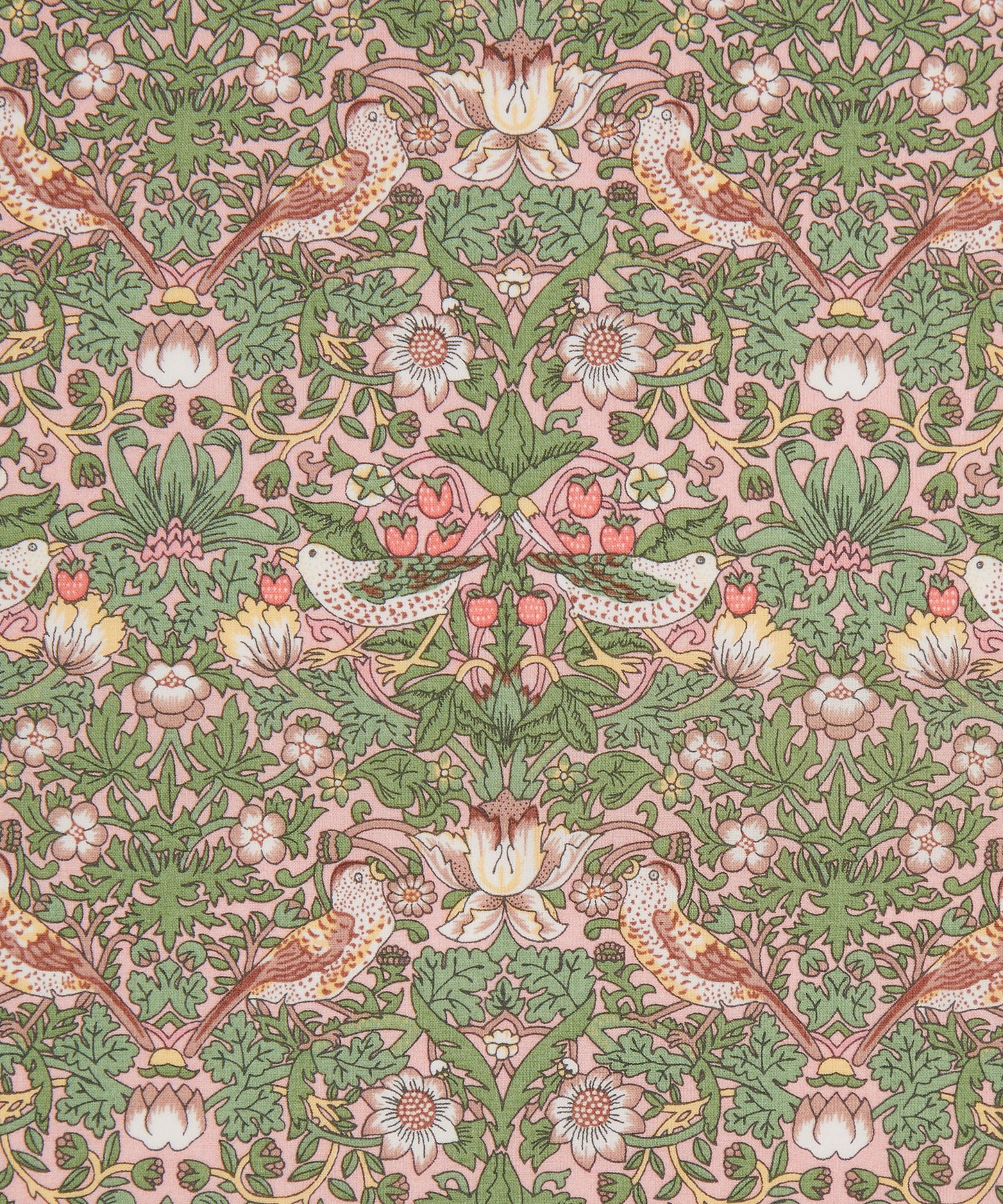 Strawberry Thief Organic Tana Lawn™ Cotton Fabric - Green - Liberty