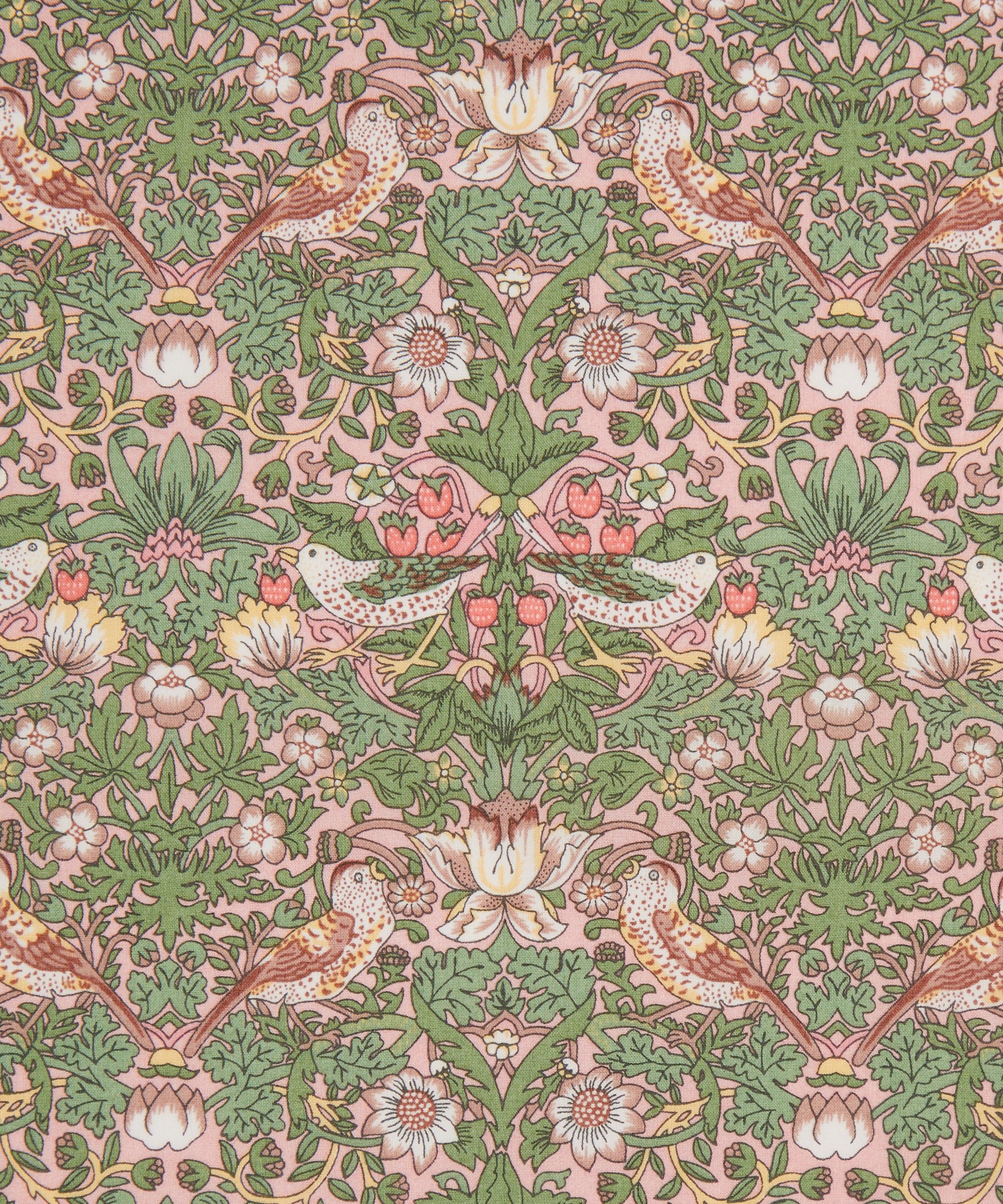 Strawberry Thief Organic Tana Lawn™ Cotton Fabric - Green - Liberty