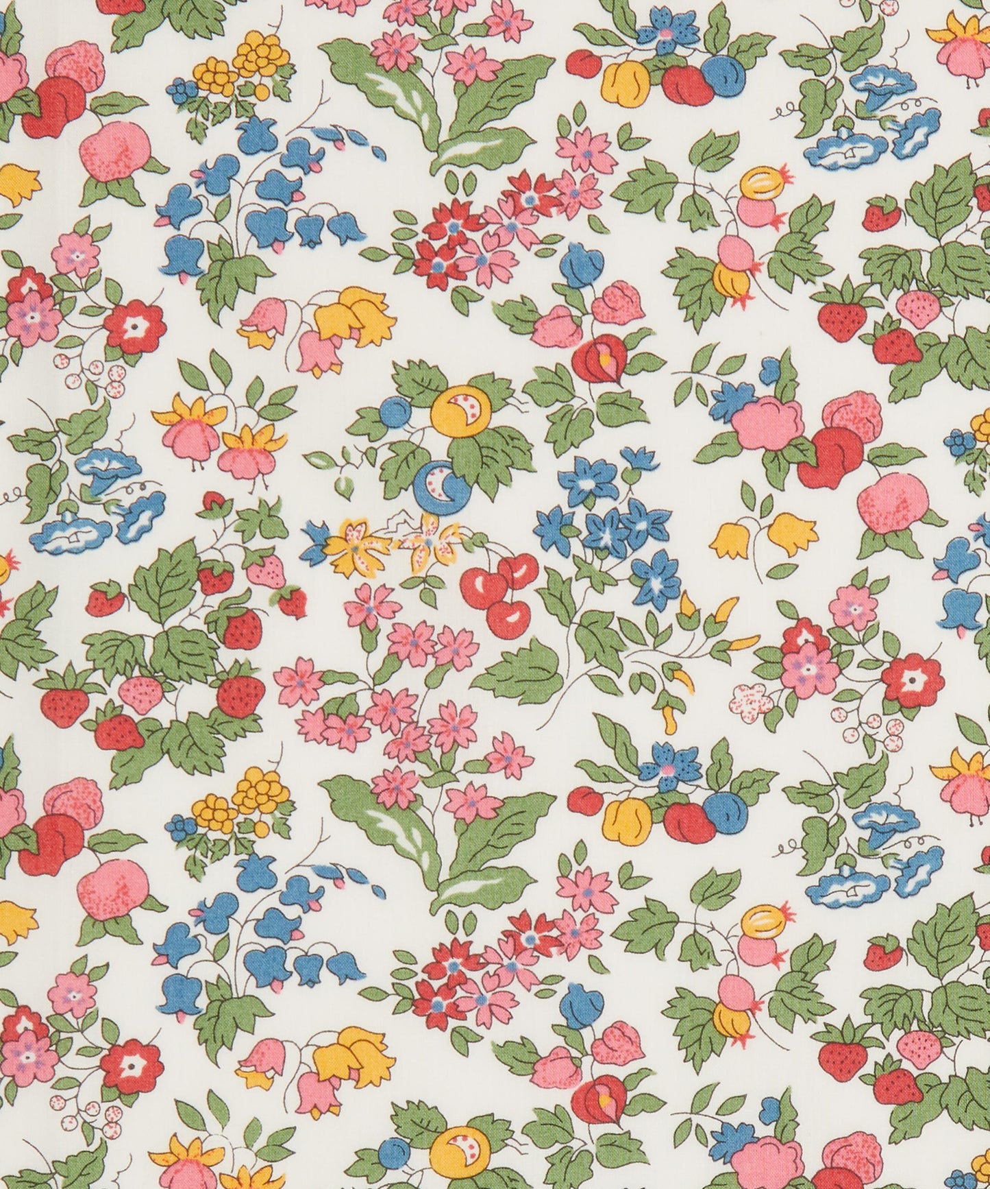 Nancy Ann Organic Tana Lawn™ Cotton Fabric - Multicolor - Liberty