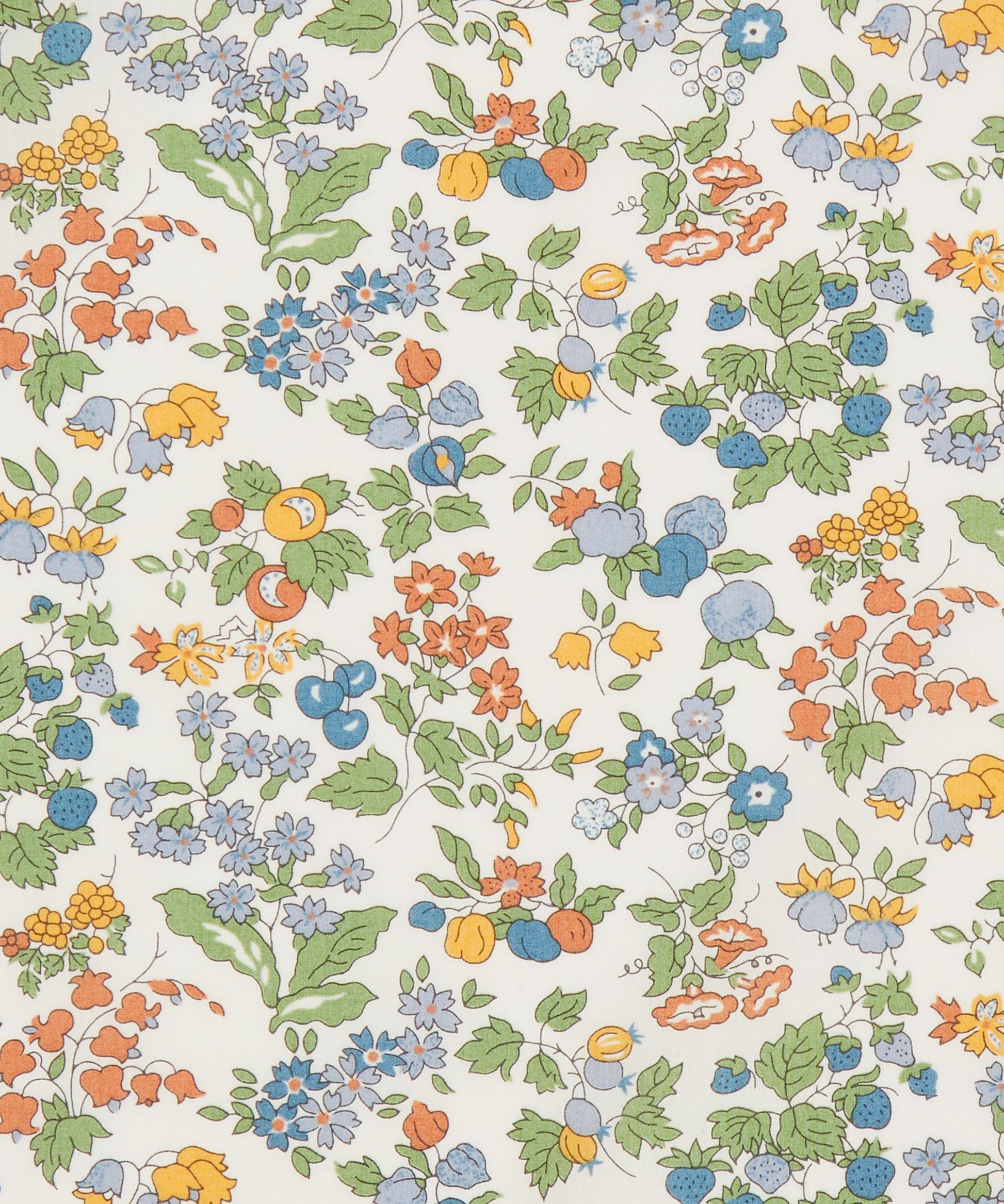 Nancy Ann Organic Tana Lawn™ Cotton Fabric - Green - Liberty