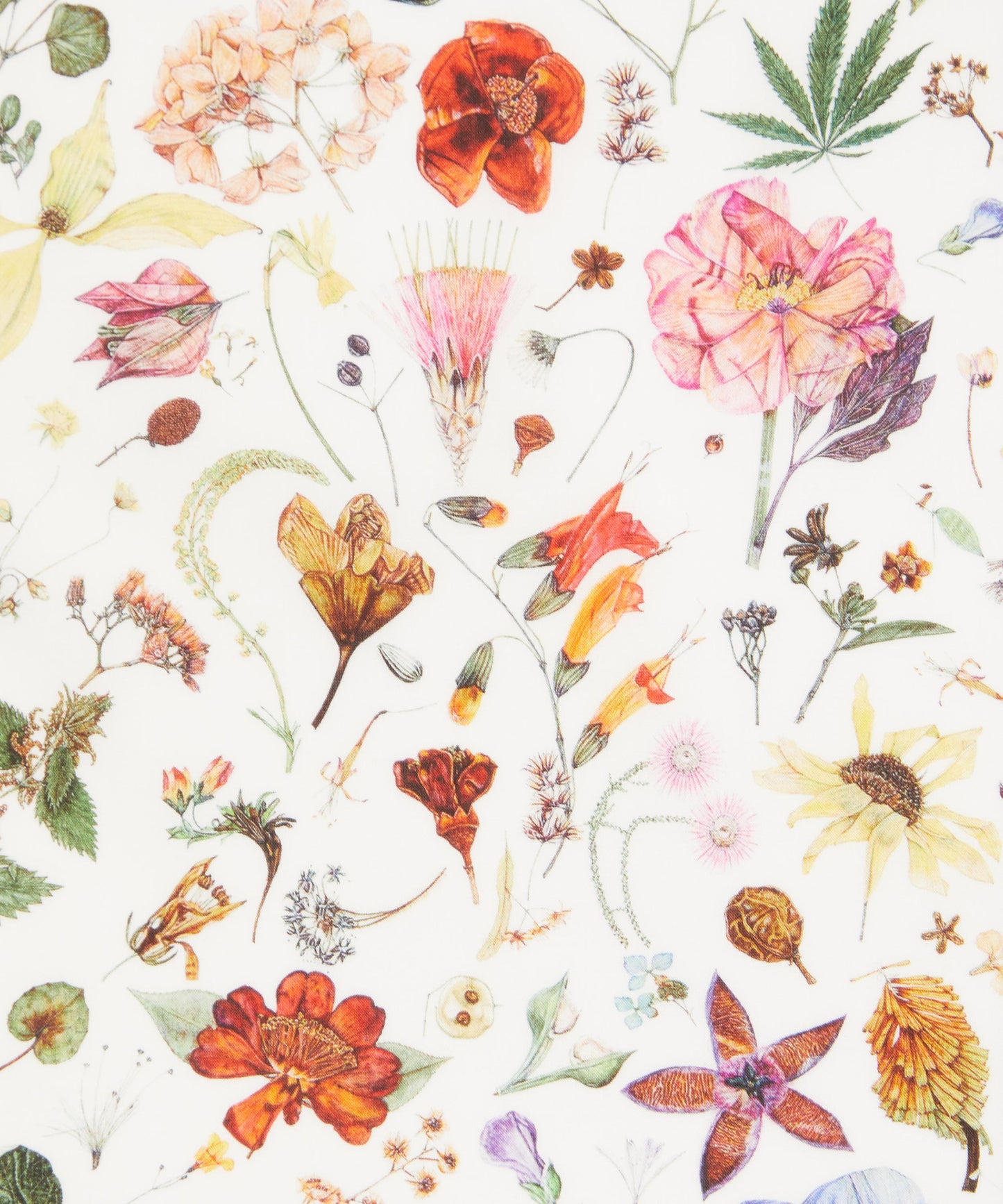 Floral Eve Tana Lawn™ Cotton Fabric - Multicolor - Liberty