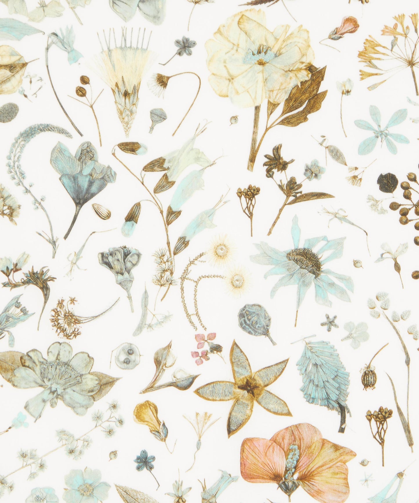 Floral Eve Tana Lawn™ Cotton Fabric - Cream - Liberty