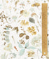 Floral Eve Tana Lawn™ Cotton Fabric - Cream - Liberty