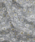 Arley Blossom Lasenby Quilting Cotton Fabric - Gray - Liberty