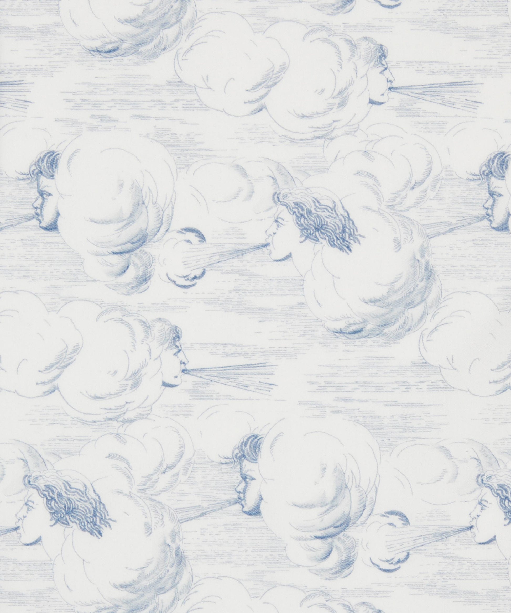 Zephyr Tana Lawn™ Cotton Fabric - Blue - Liberty