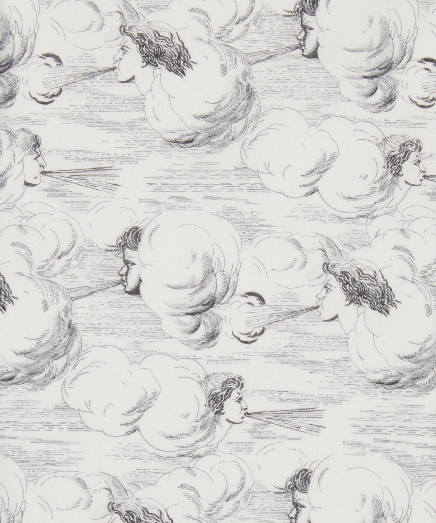 Zephyr Tana Lawn™ Cotton Fabric - Gray - Liberty