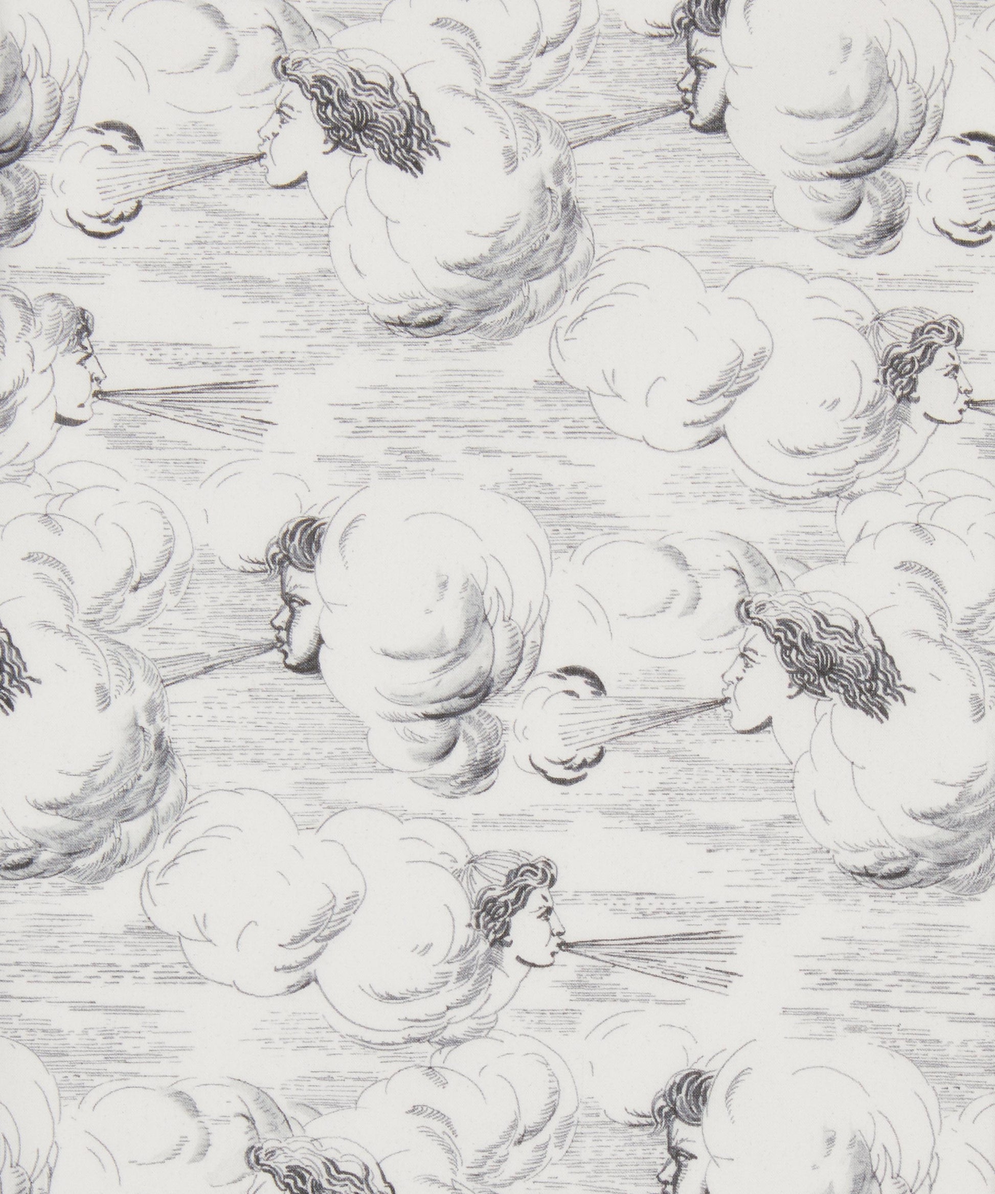 Zephyr Tana Lawn™ Cotton Fabric - Gray - Liberty