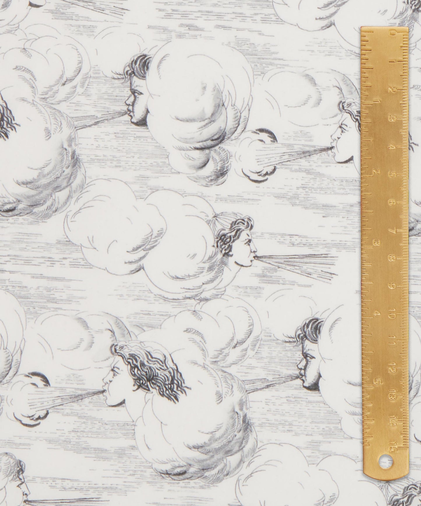 Zephyr Tana Lawn™ Cotton Fabric - Gray - Liberty