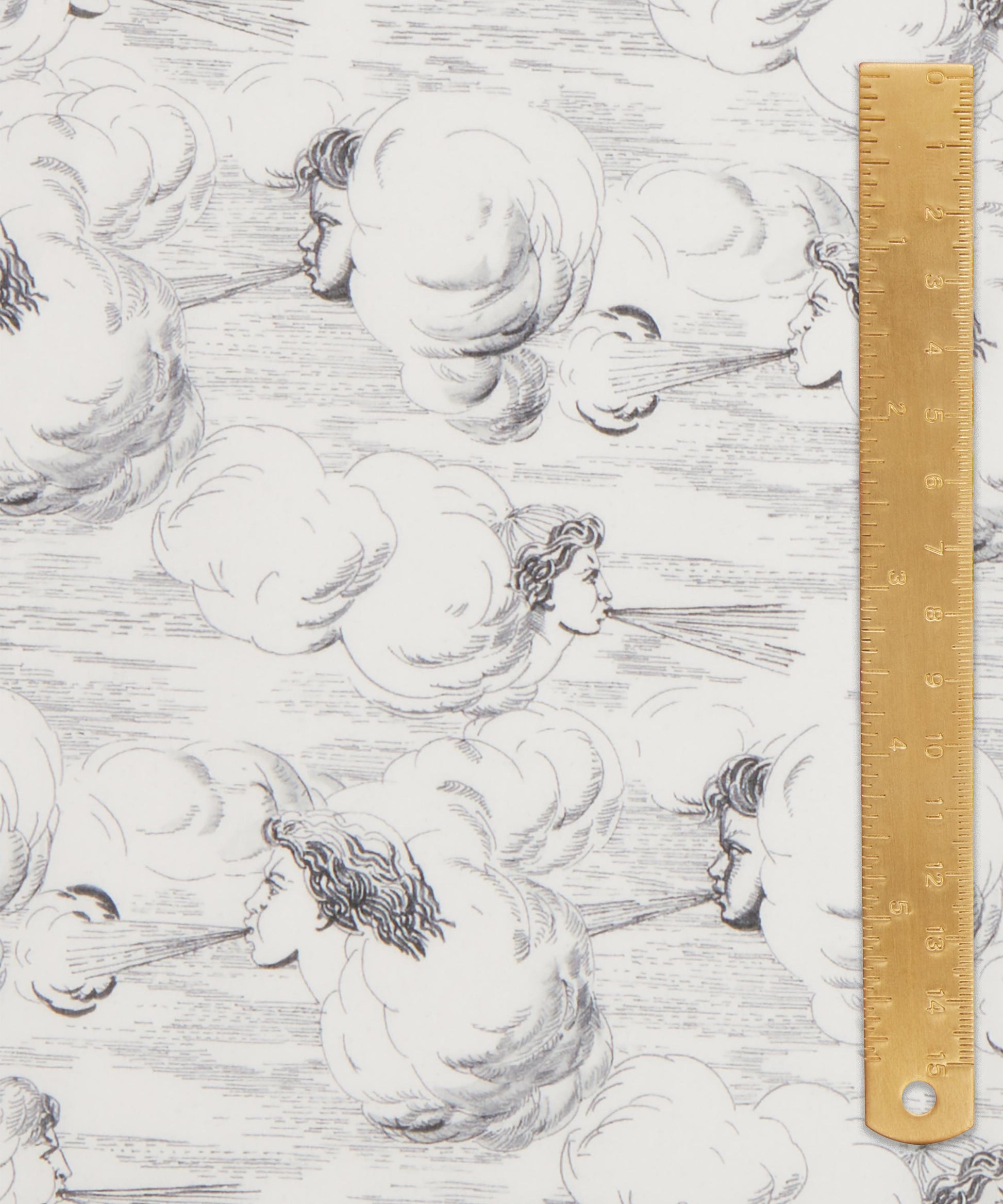 Zephyr Tana Lawn™ Cotton Fabric - Gray - Liberty