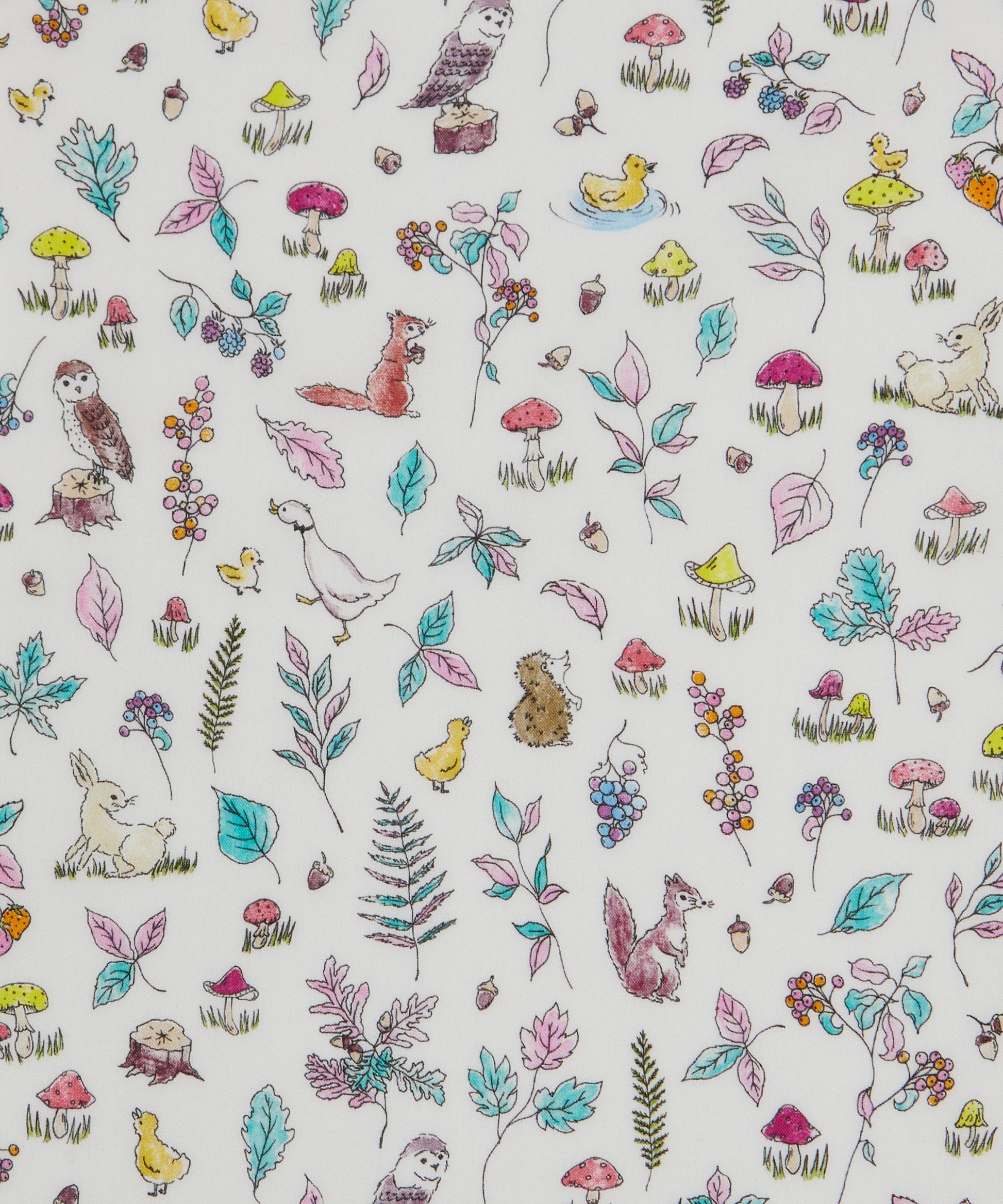 Sana Tana Lawn™ Cotton Fabric - Multicolor - Liberty