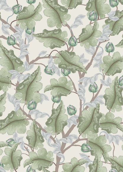 Ranunculus Floral Wallpaper - Cream & Green - Summer Gray
