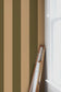 Ryde Stripes Wallpaper - Green & Beige - Summer Gray
