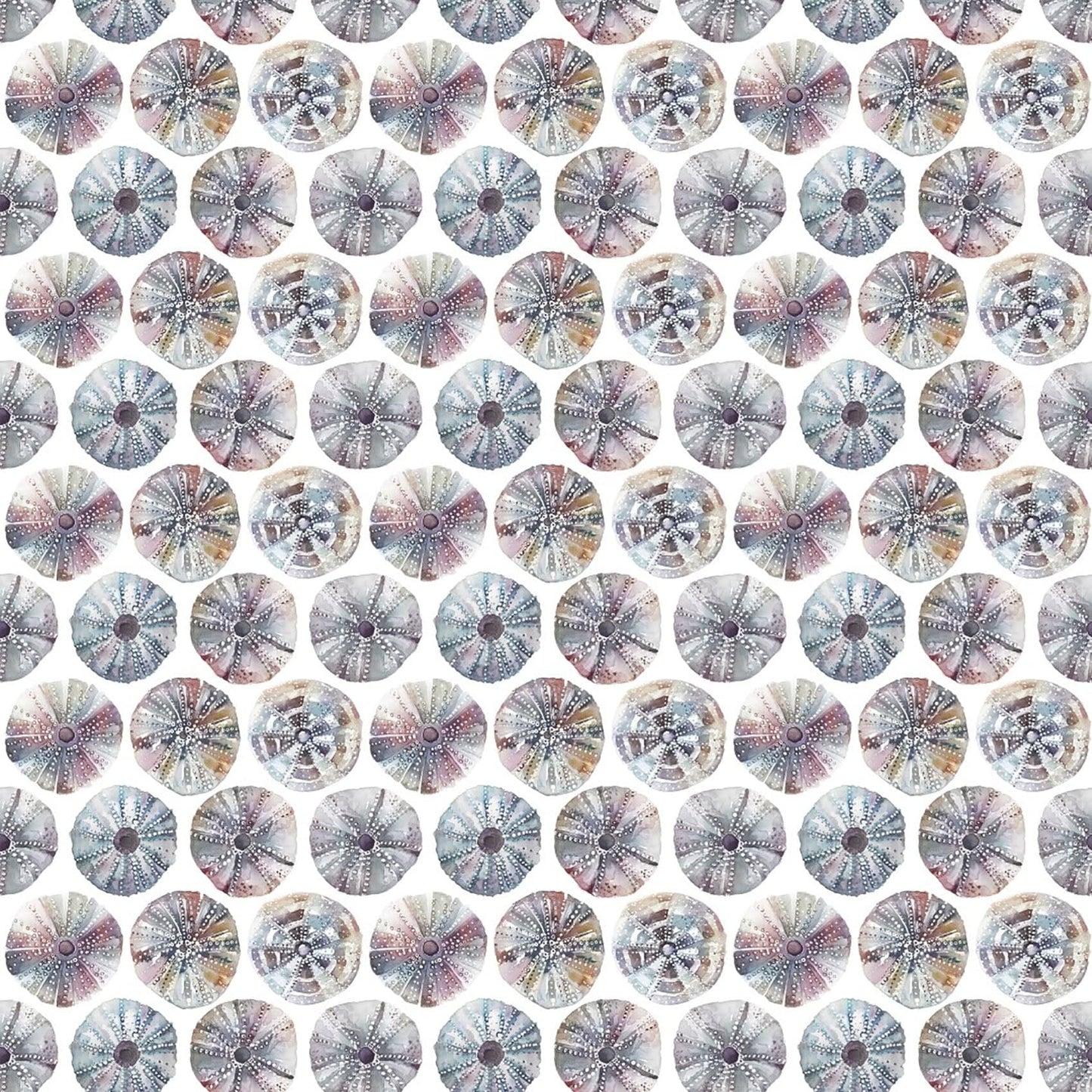 Sea Urchins Abalone Fabric