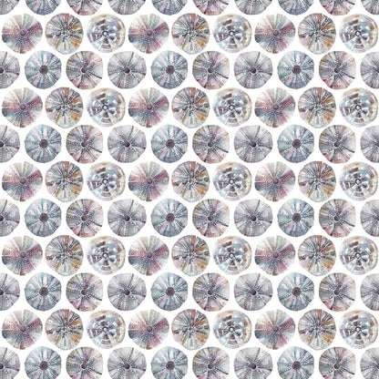 Sea Urchins Abalone Fabric