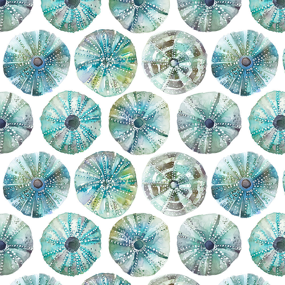 Sea Urchin Wallpaper
