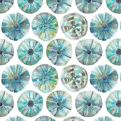 Sea Urchin Wallpaper