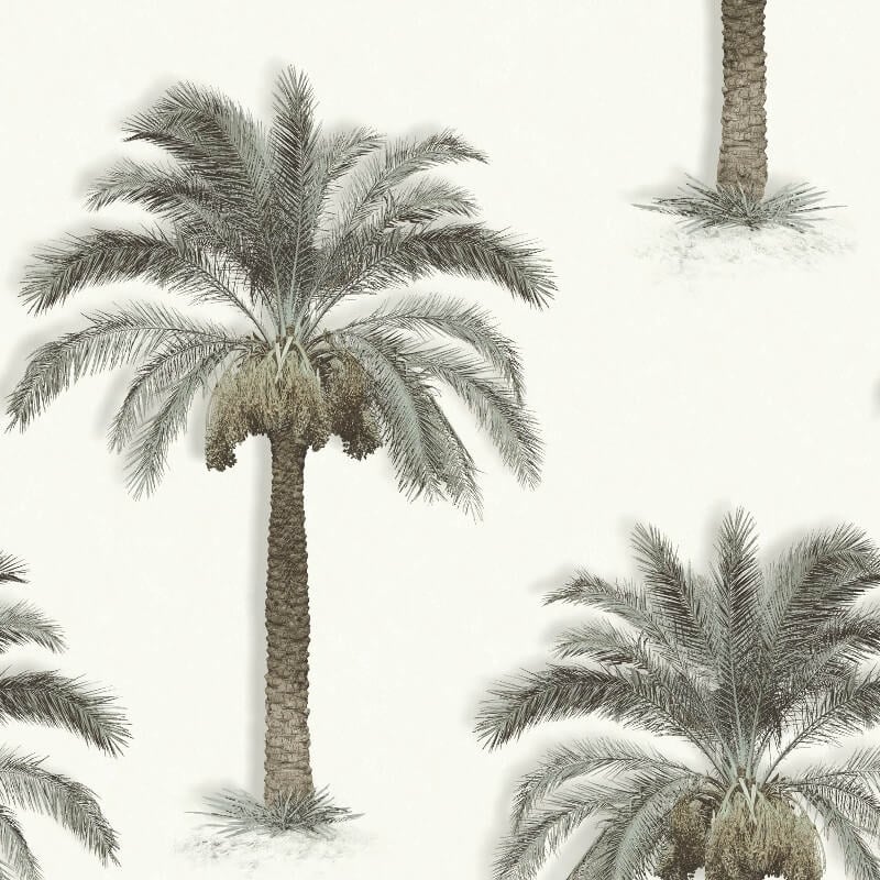 Palm Trees Wallpaper