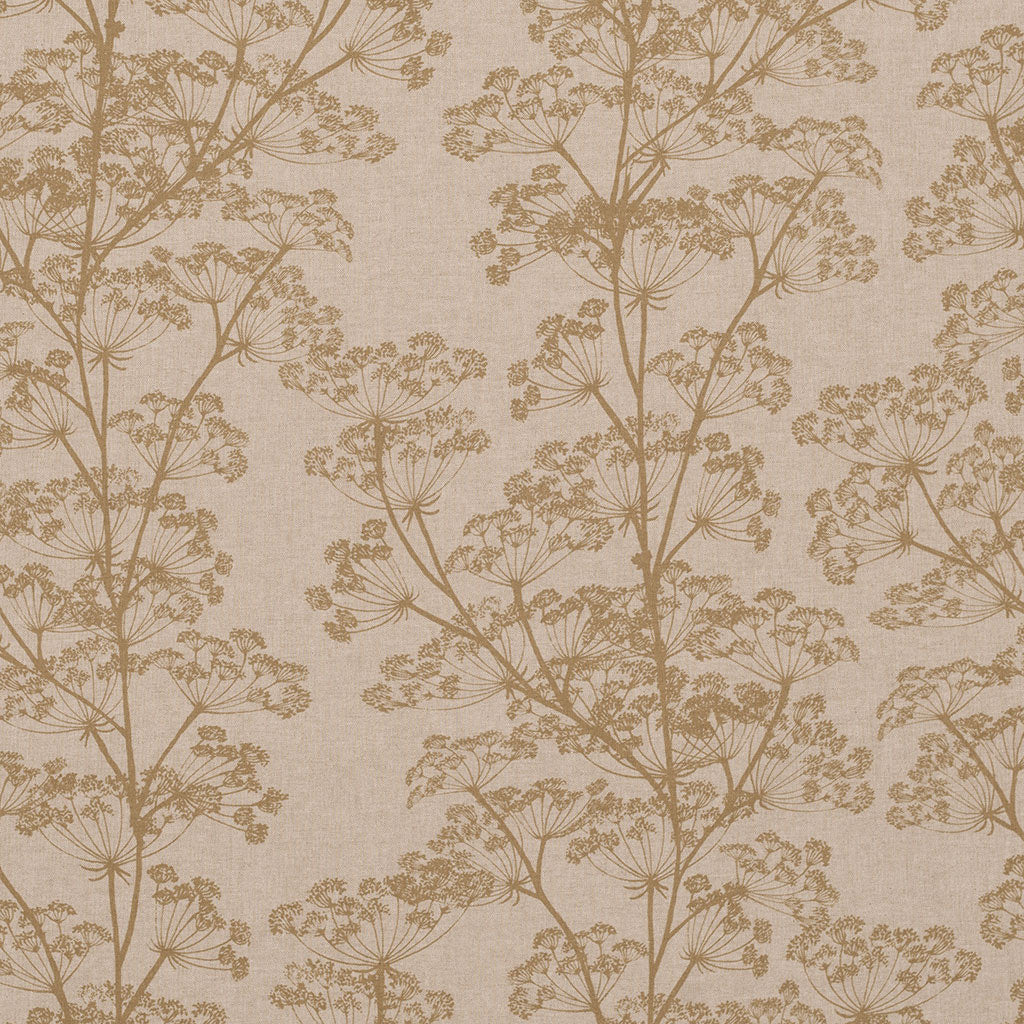 Cow Parsley Fabric - Gold - Jim Lawrence