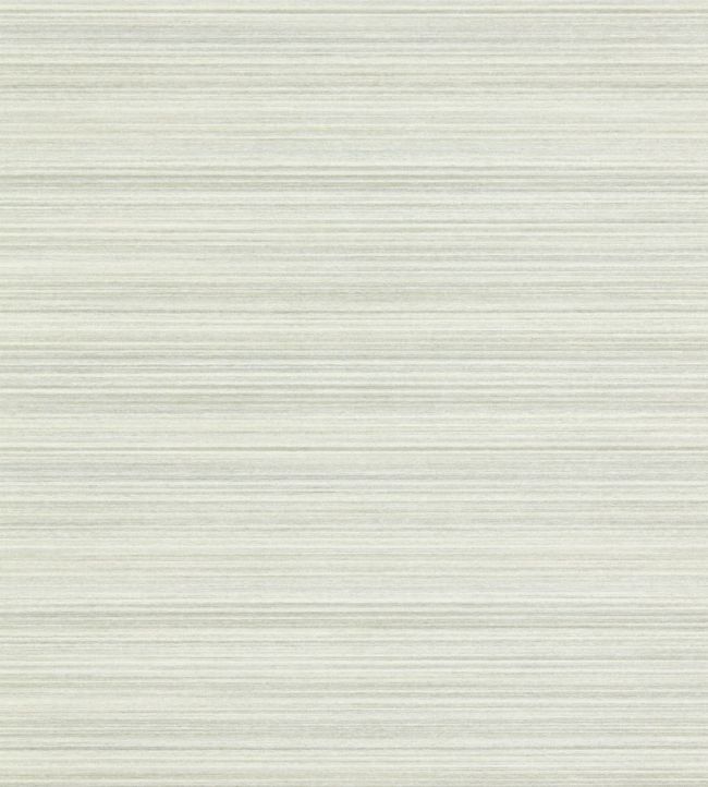 Spun Silk Wallpaper - Empire Grey - ZRHW312902 - Zoffany