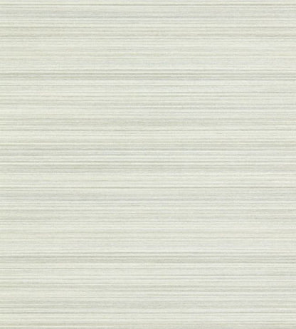 Spun Silk Wallpaper - Empire Grey - ZRHW312902 - Zoffany