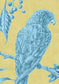 Squawk Wallpaper - Curaçao