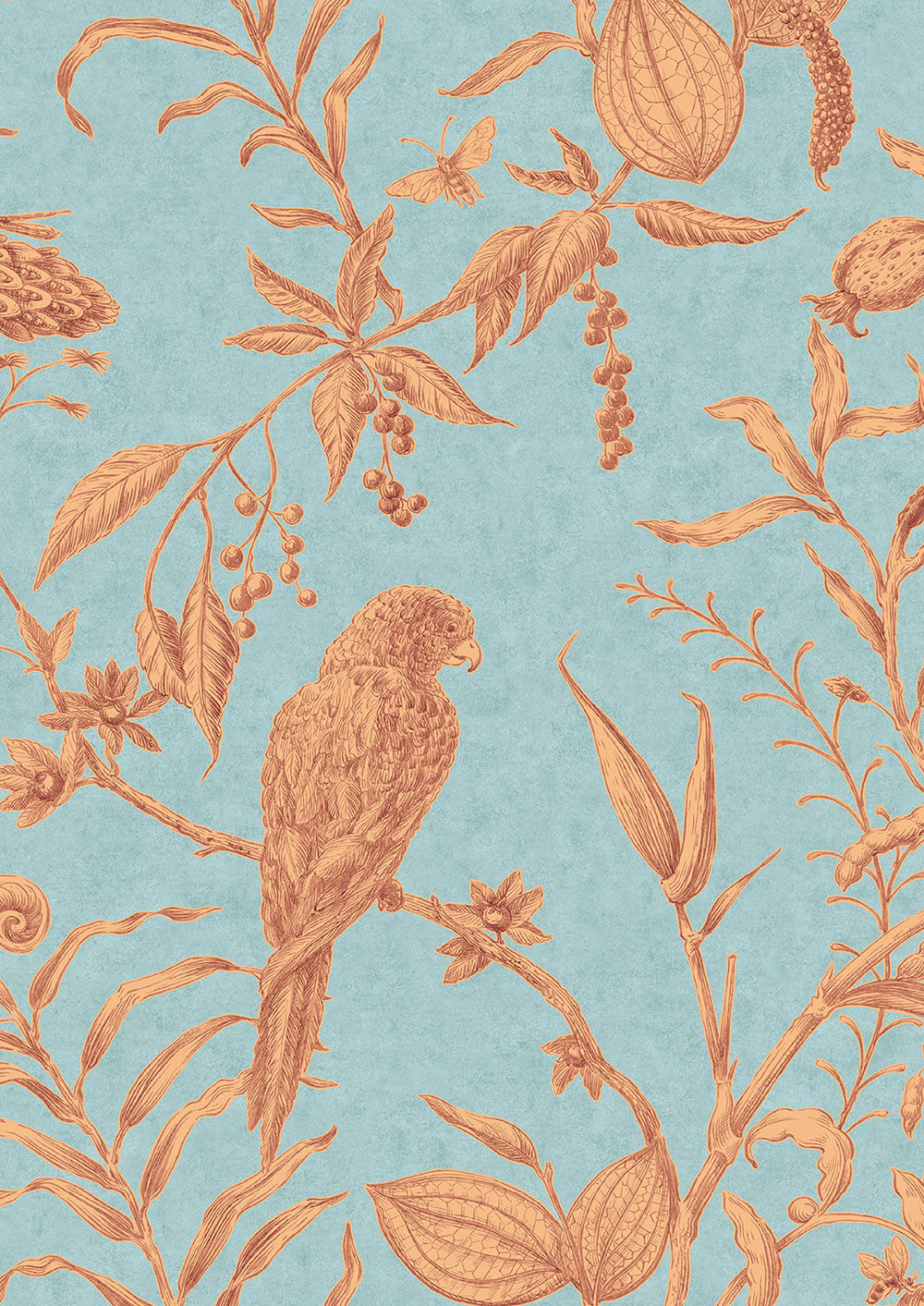 Squawk Wallpaper - Jaffa