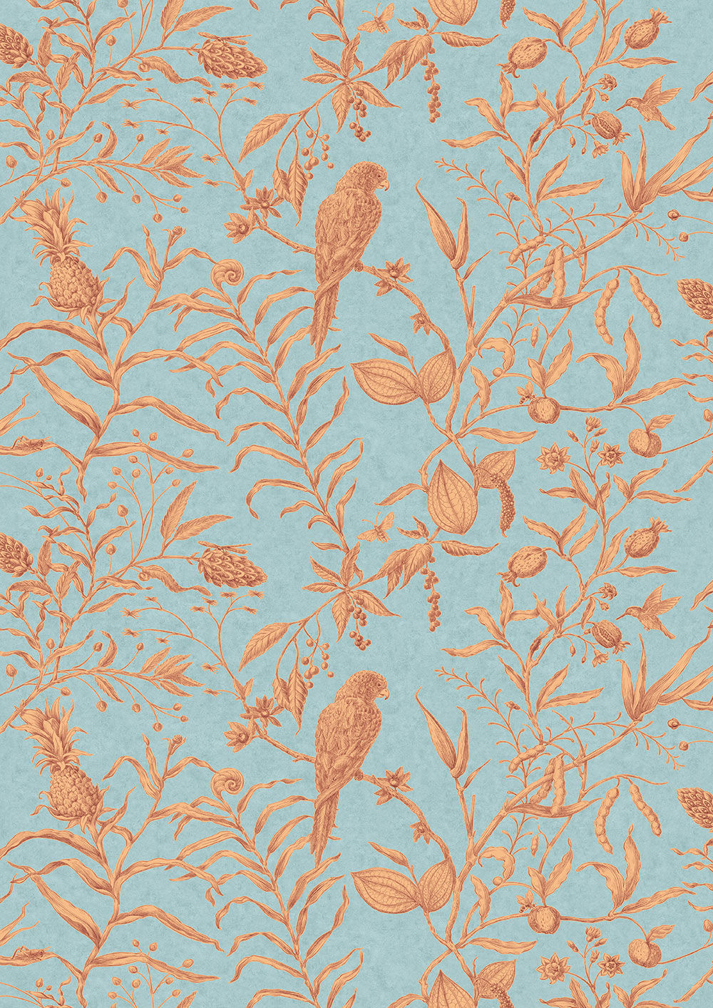 Squawk Wallpaper - Jaffa