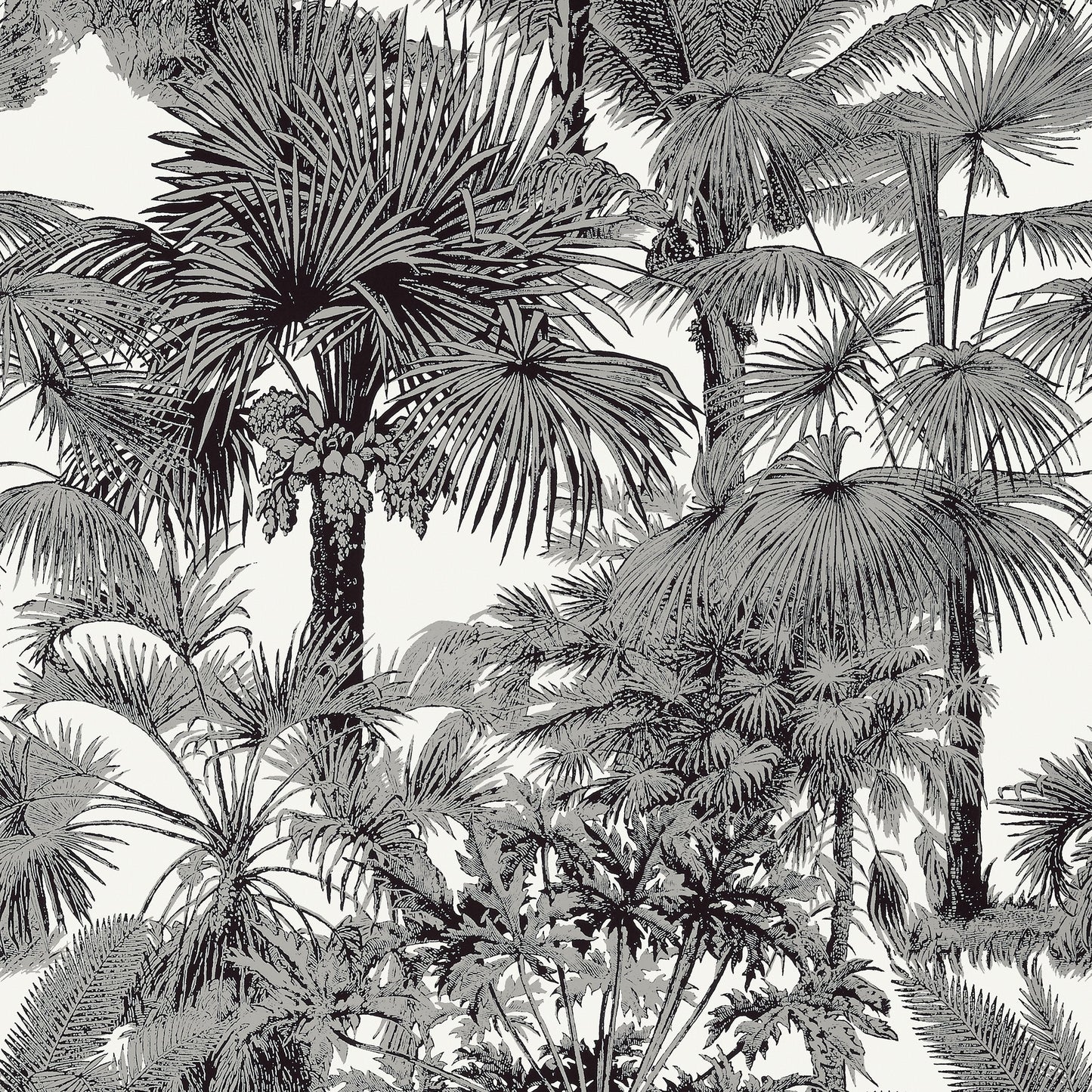 Palm Botanical Wallpaper