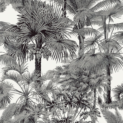 Palm Botanical Wallpaper