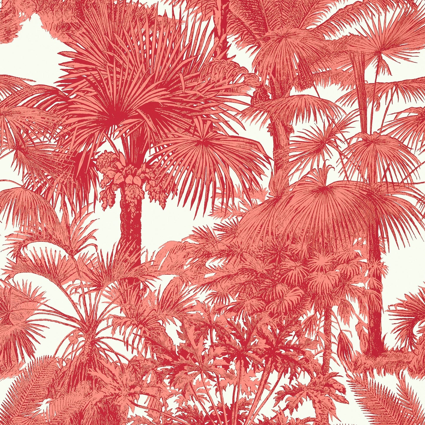 Palm Botanical Wallpaper