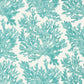 Marine Coral Wallpaper