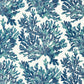 Marine Coral Wallpaper