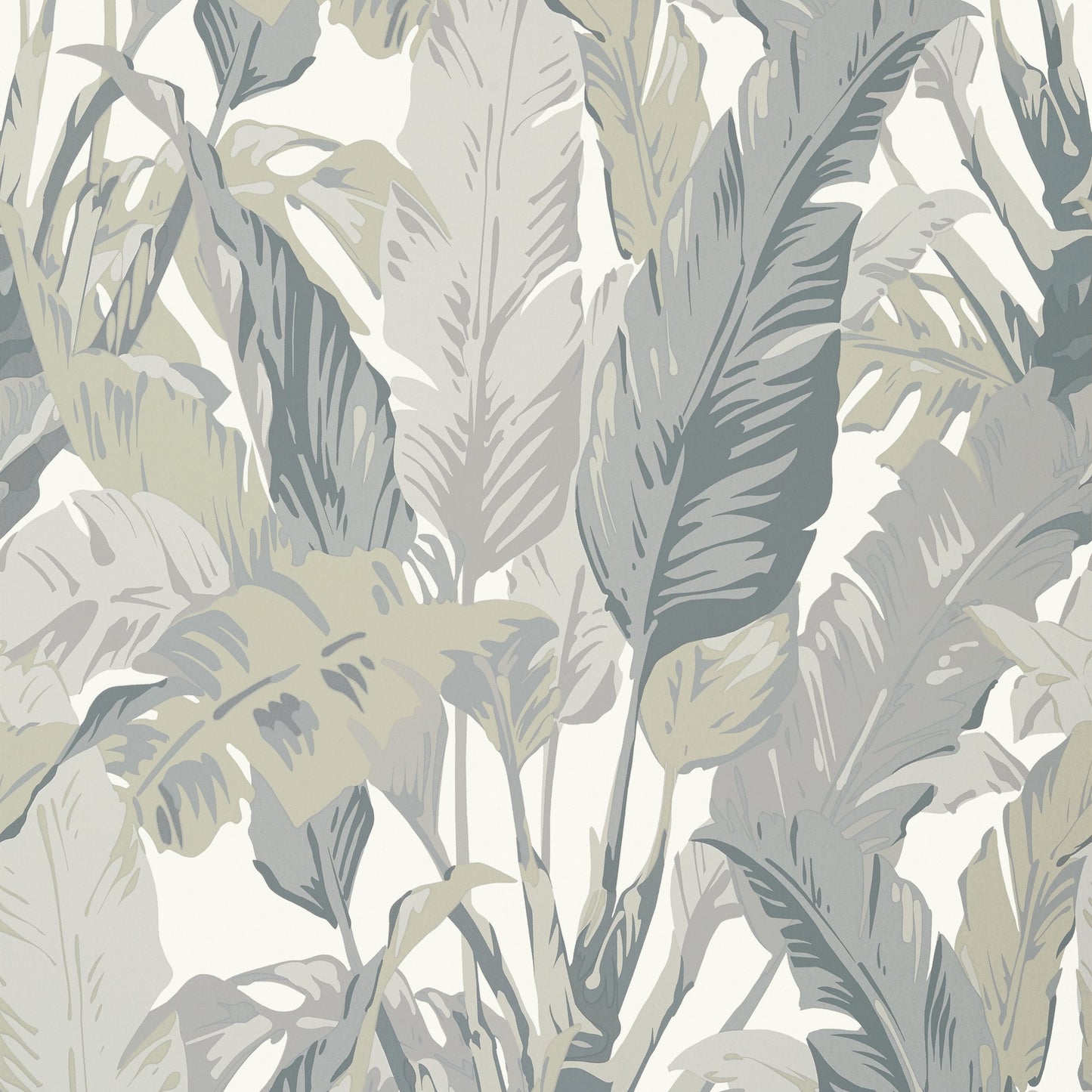 Travelers Palm Wallpaper