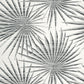 Palm Frond Wallpaper