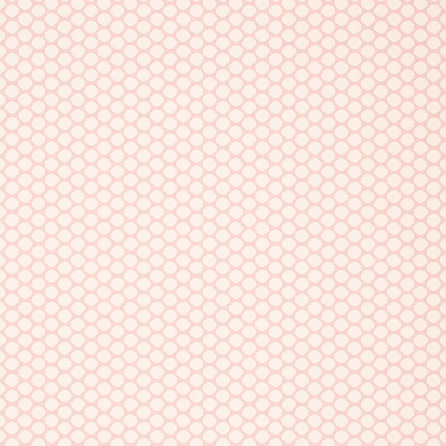 Nevio Wallpaper