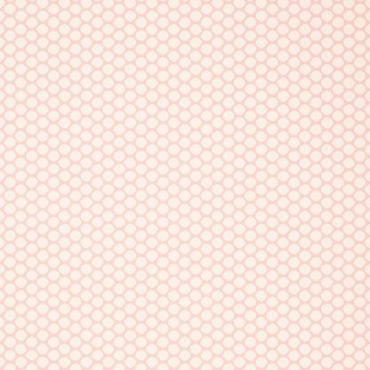 Nevio Wallpaper