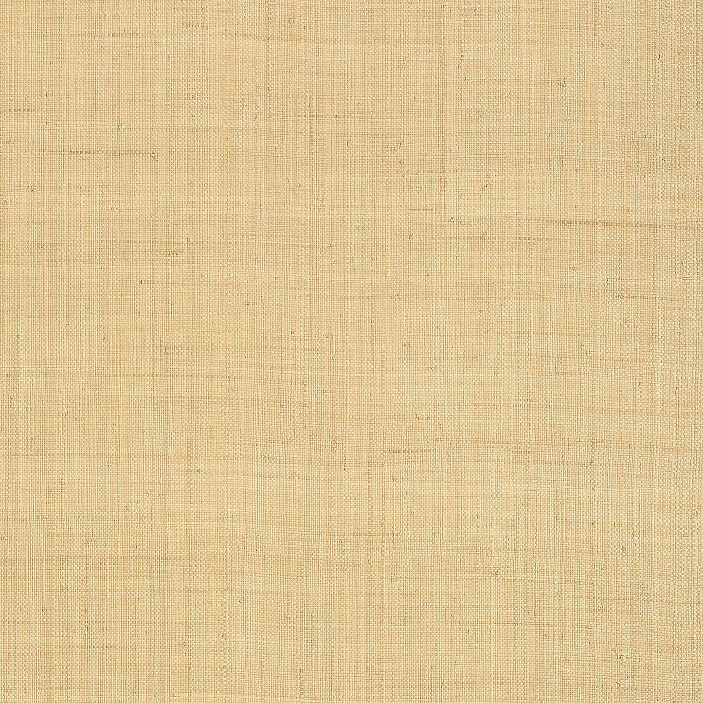 Carolina Raffia Wallpaper