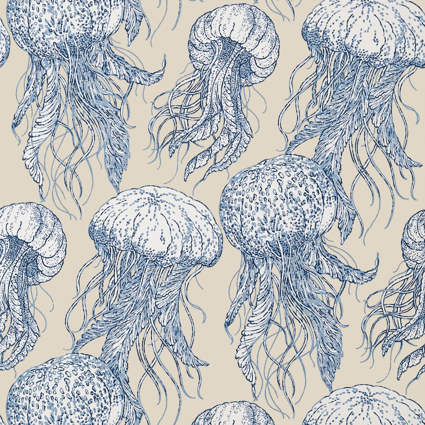 Jelly Fish Bloom Wallpaper