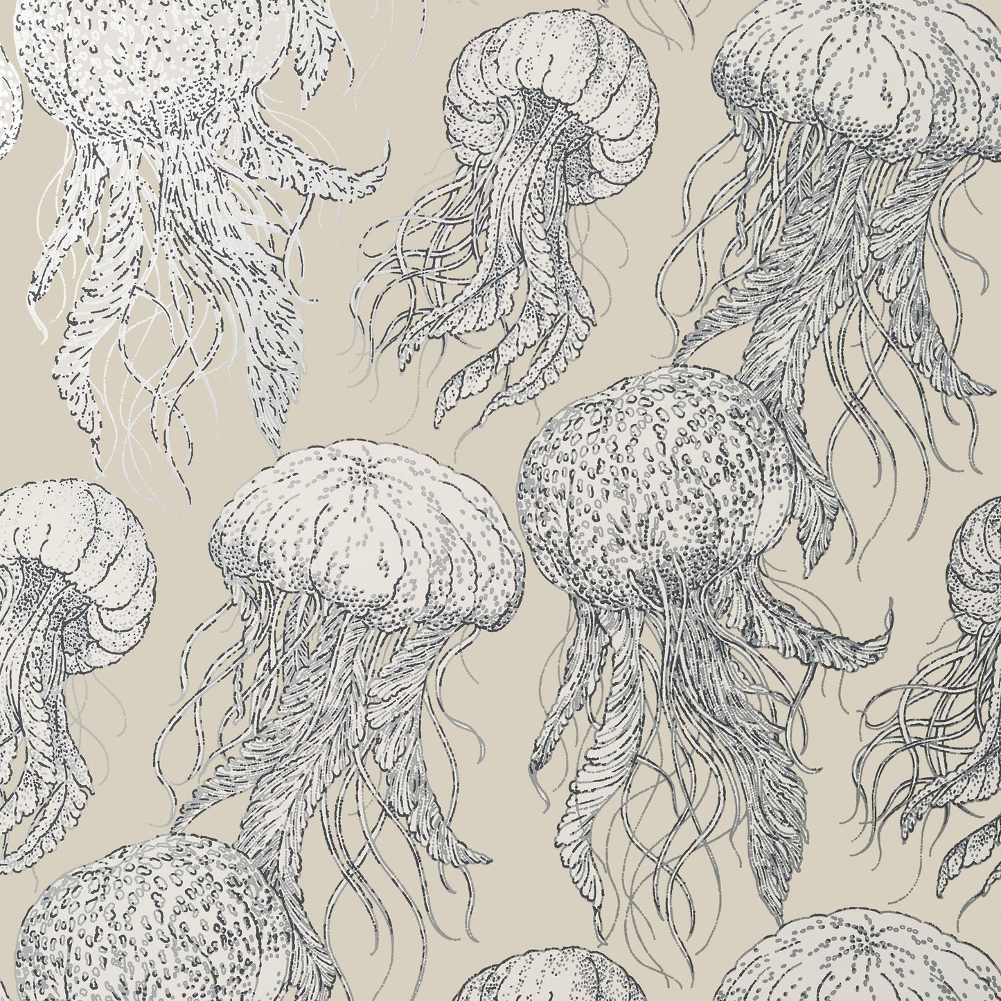 Jelly Fish Bloom Wallpaper