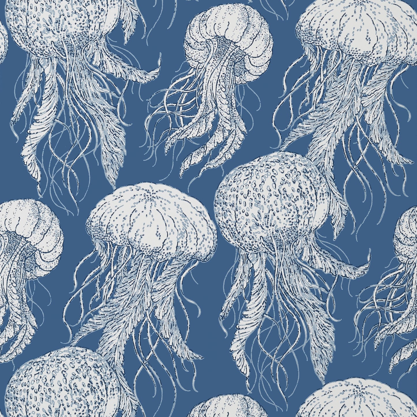 Jelly Fish Bloom Wallpaper