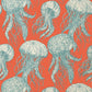 Jelly Fish Bloom Wallpaper
