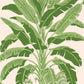 Banana Tree Wallpaper