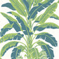 Banana Tree Wallpaper
