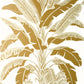 Banana Tree Wallpaper