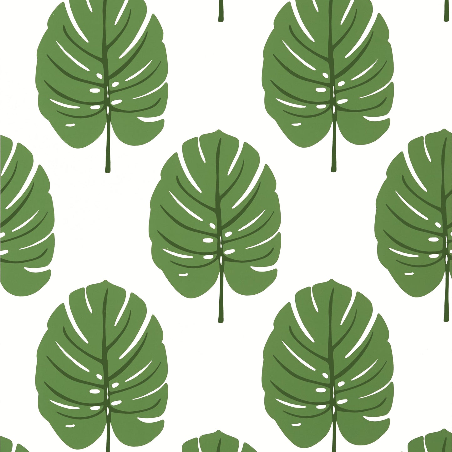 Monstera Wallpaper