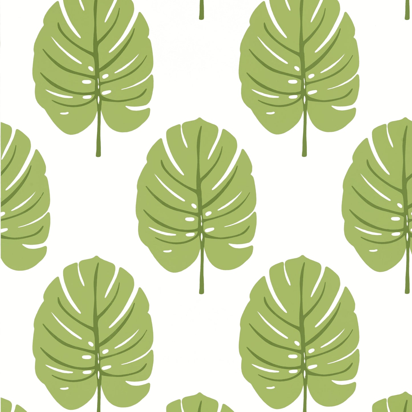 Monstera Wallpaper