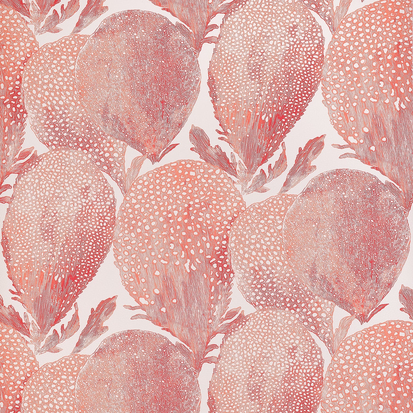 Under The Sea Wallpaper