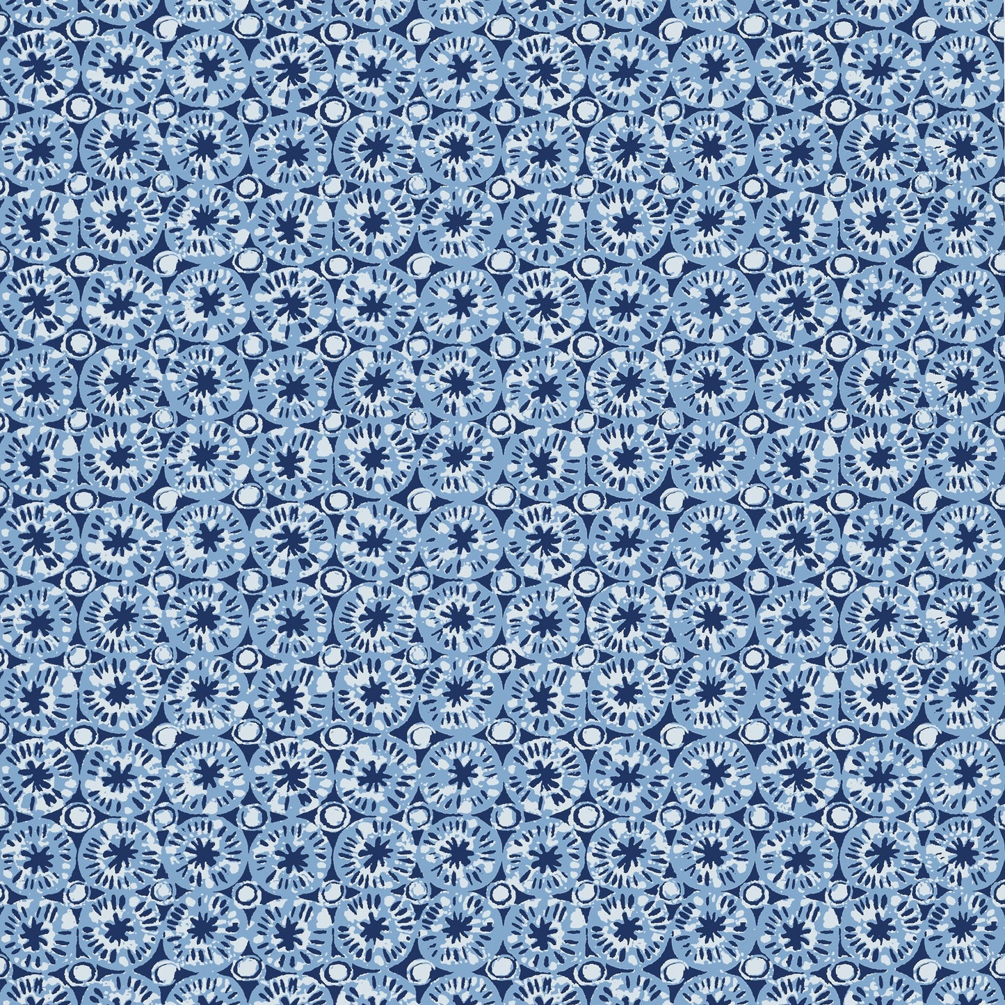 Sand Dollar Wallpaper